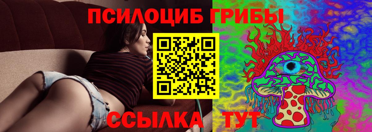 Псилоцибиновые грибы Cubensis  Вход с VPN  Ковров 